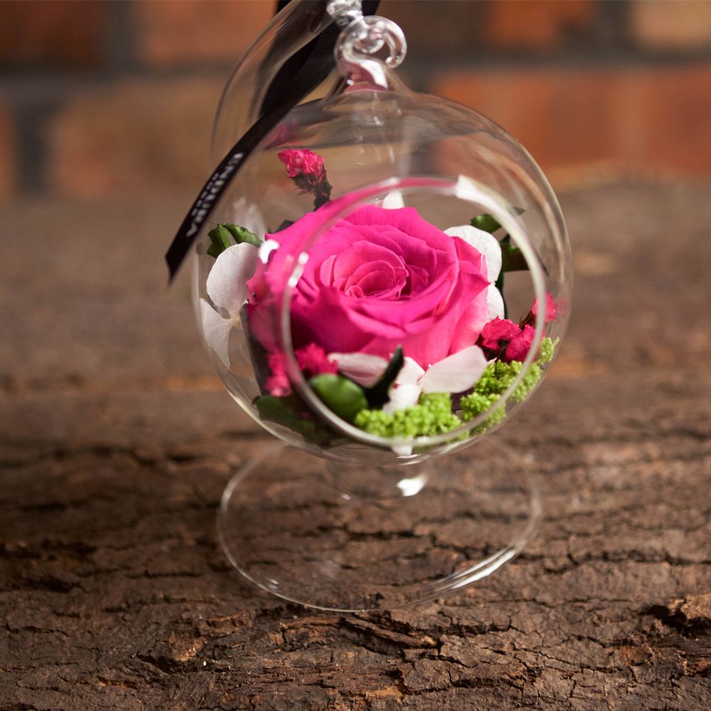 Rose Elegance