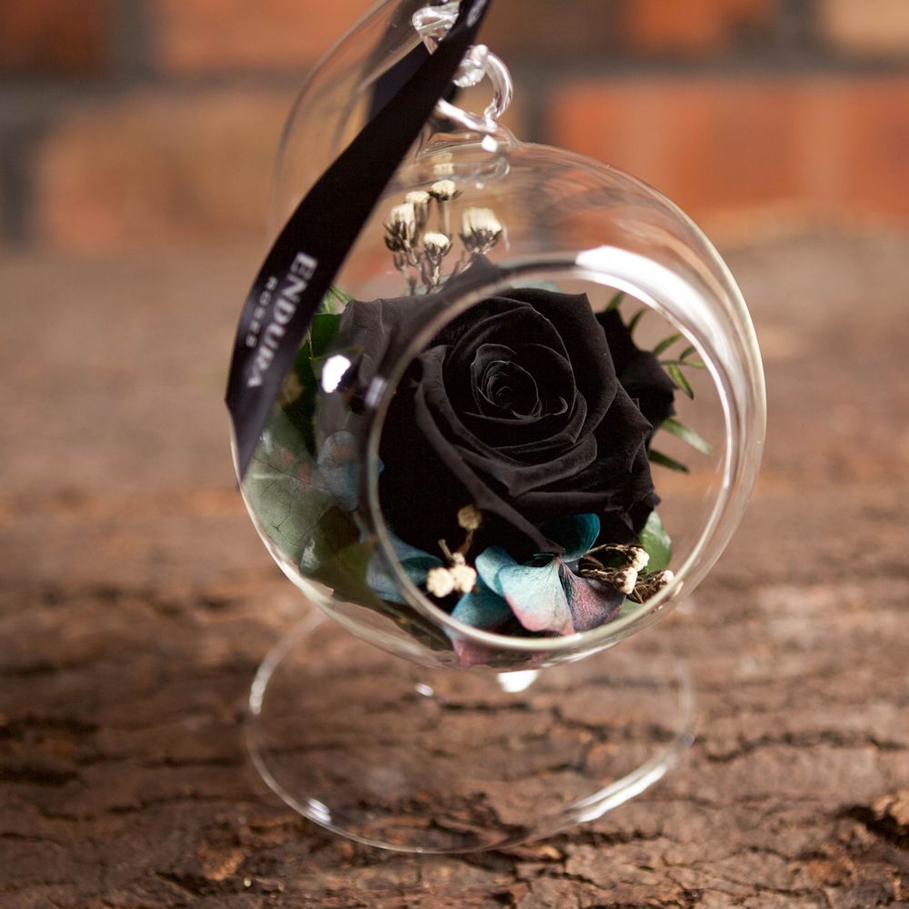 Rose Elegance