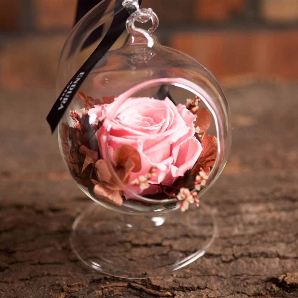Rose Elegance