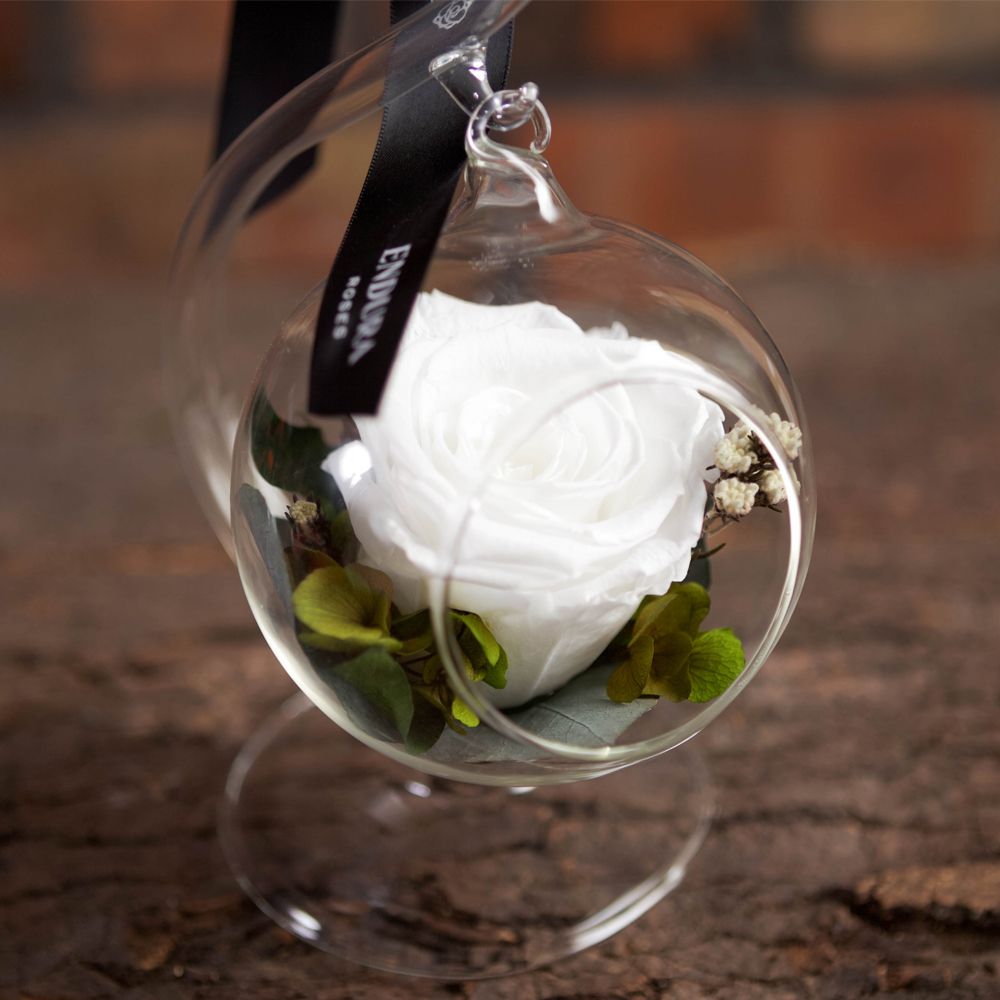 Rose Elegance