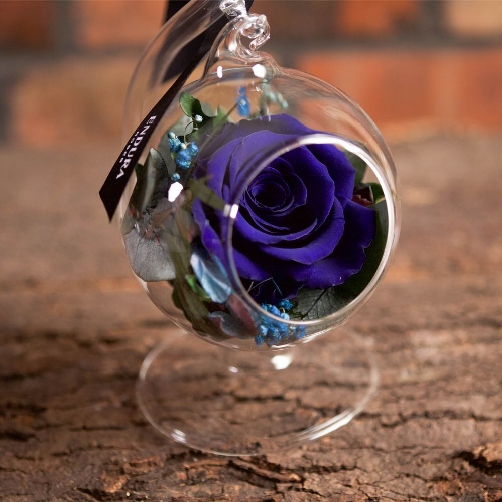 Rose Elegance