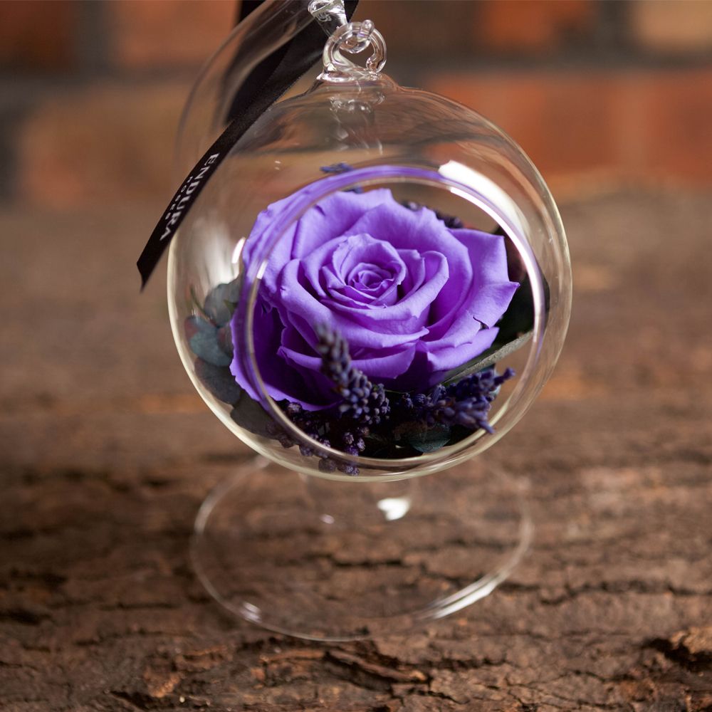 Rose Elegance
