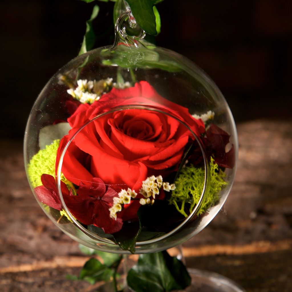 Rose Elegance