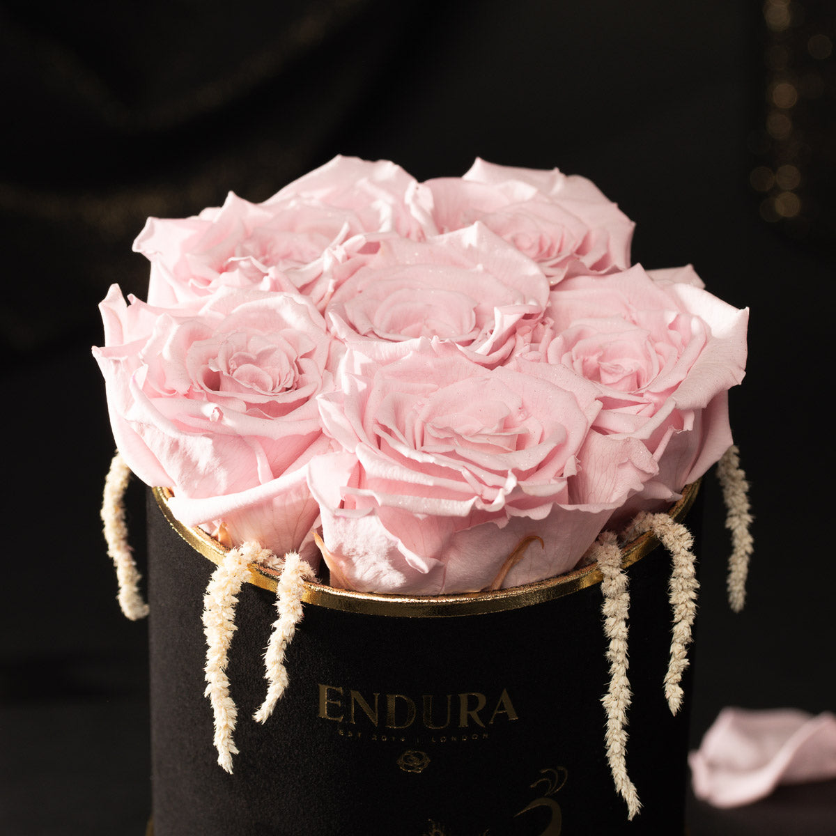 Bloom Box