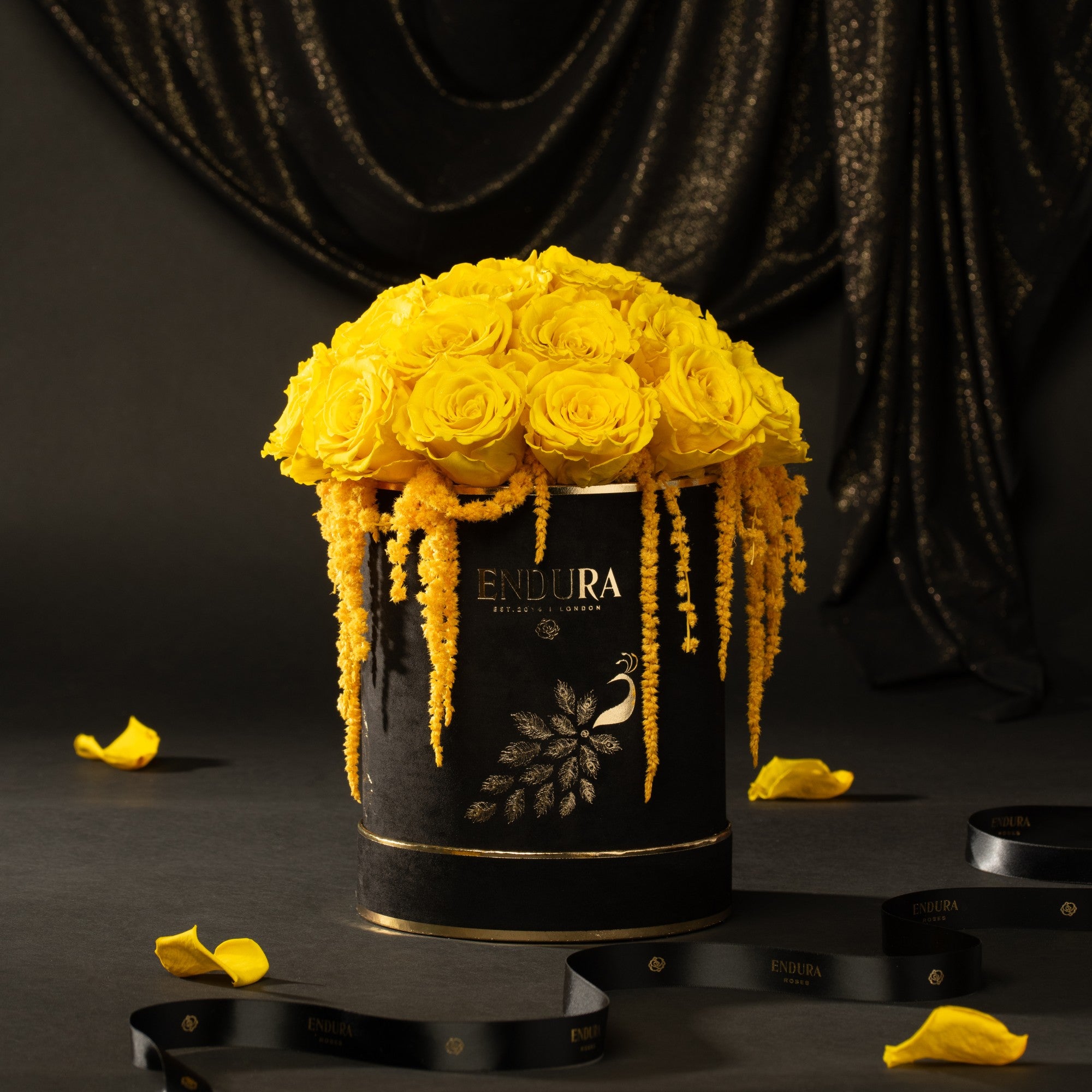 Bloom Box