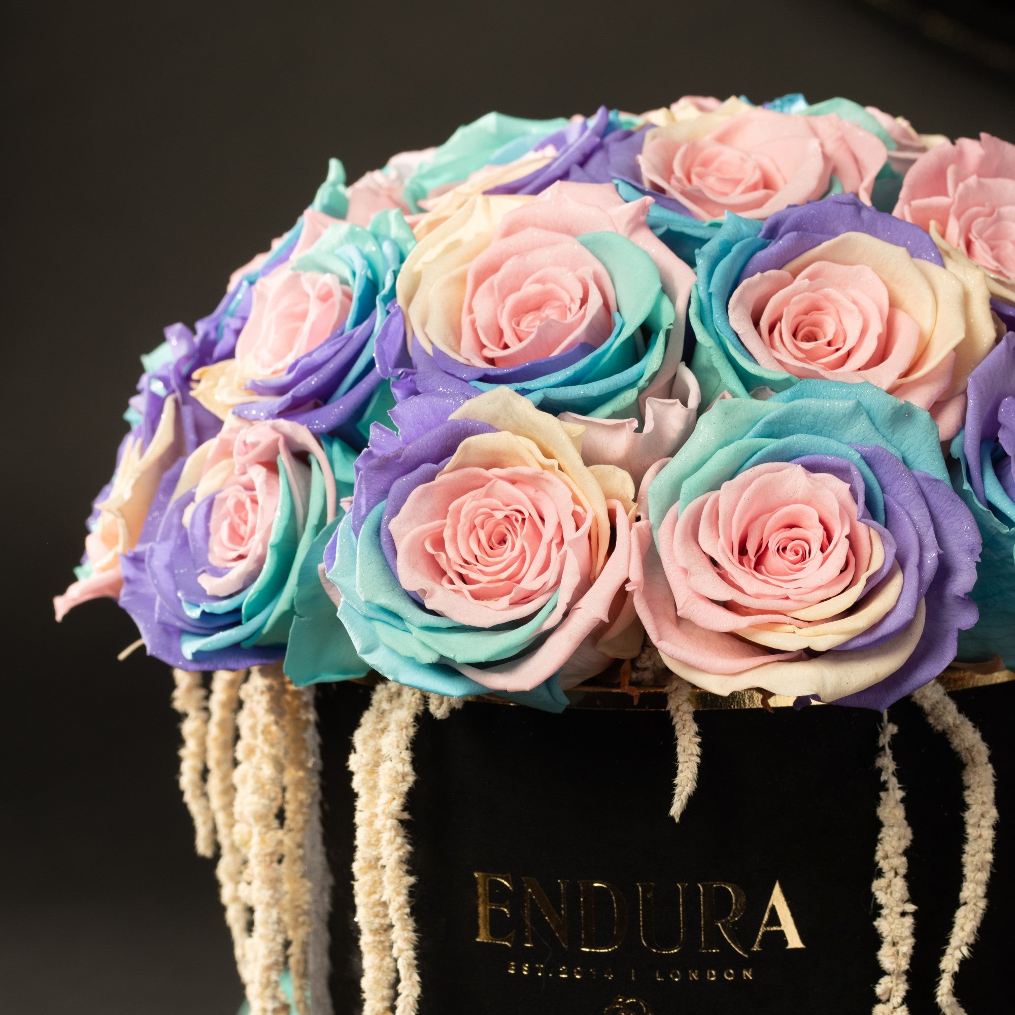 Bloom Box
