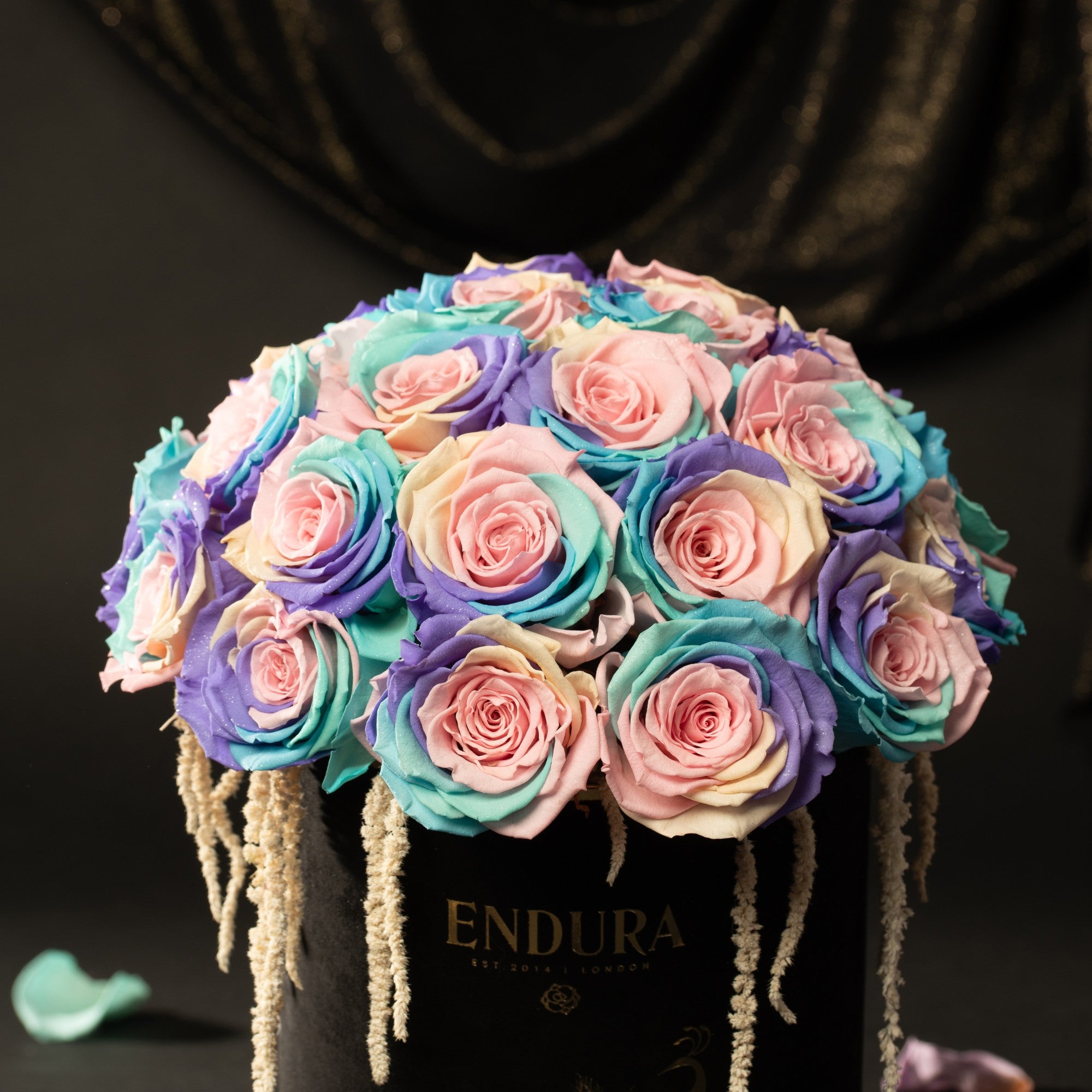 Bloom Box