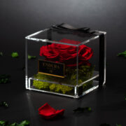 Vermillion Red