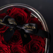 Rose Red