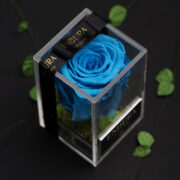 Azure Blue