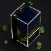 Sapphire Blue