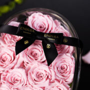Rose Pink