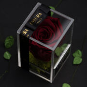 Rose Red