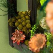 Luscious Jungle