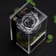 Antique Silver