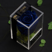 Diamond Sapphire Blue