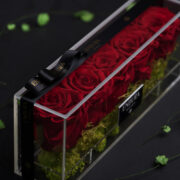 Diamond Vermillion Red