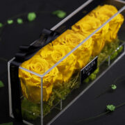 Saffron Yellow