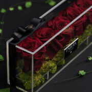 Rose Red