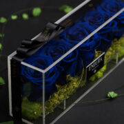 Sapphire Blue