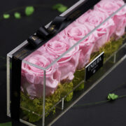 Rose Pink
