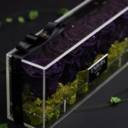 Diamond Purpura Purple