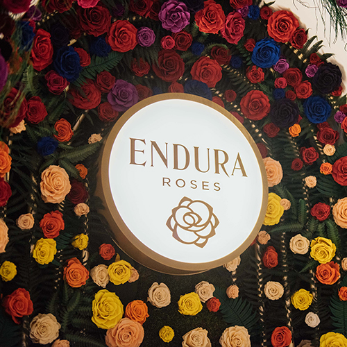 Endura Roses 1