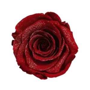 diamond rose red