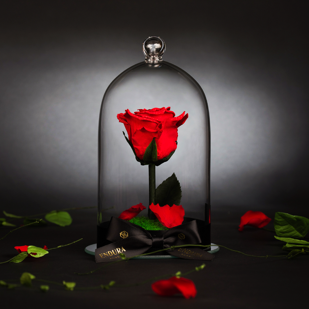 Inspired By The Beauty And The Beast Rose In Glass