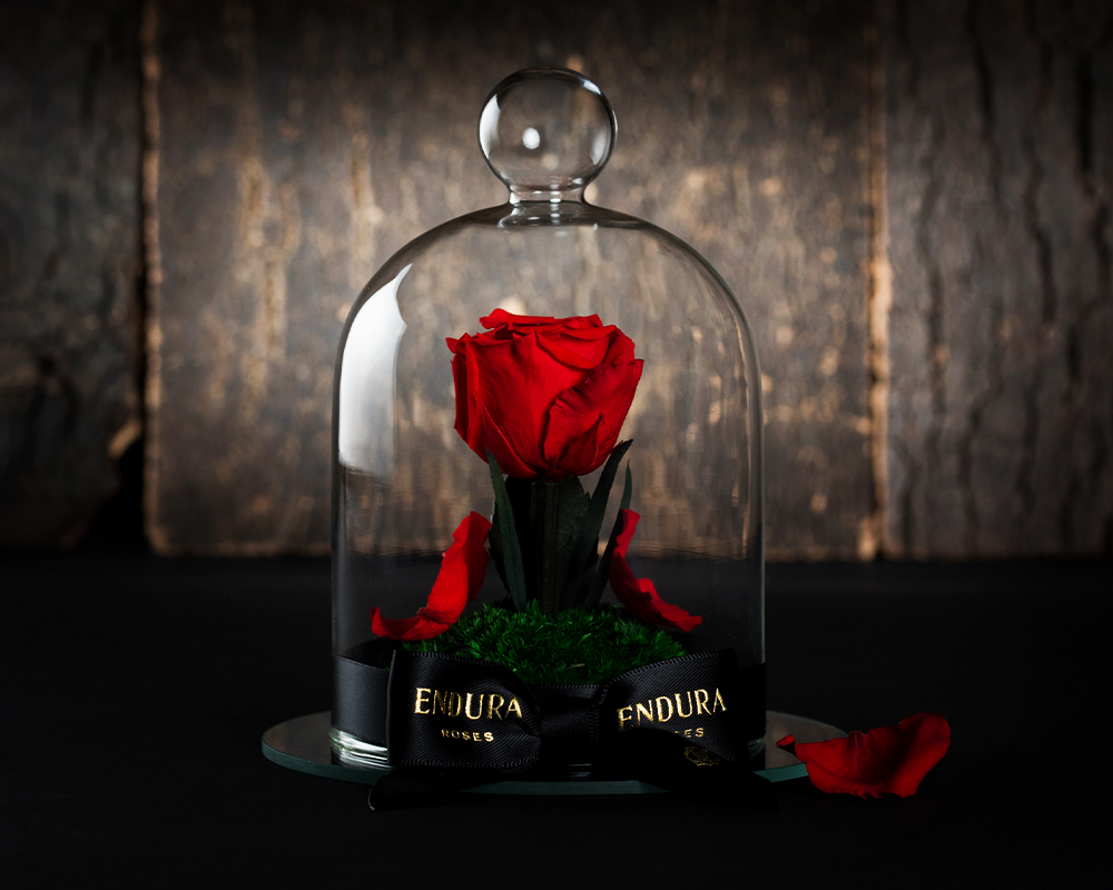 Beauty And The Beast Rose In Glass 