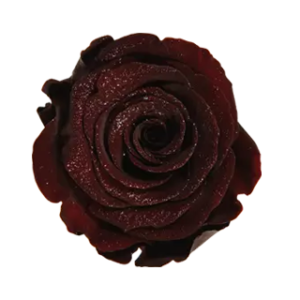 diamond rose chocolate