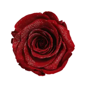 diamond rose red