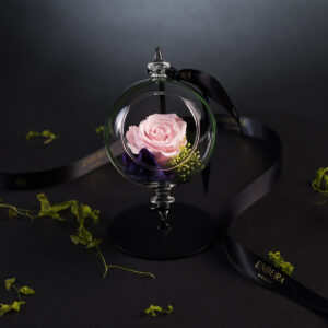 Perennial